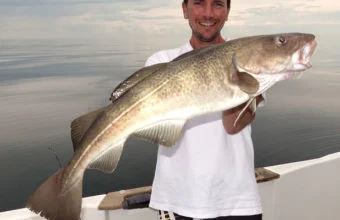 Ce cabillaud, appelé morue, a été pris au printemps au large de Dieppe