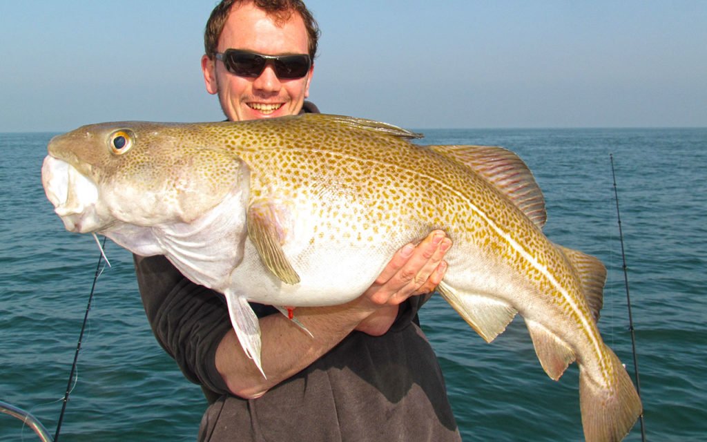 Pêche d'une morue record de France et d'Europe en 2011 par Guillaume guide de pêche à Dieppe