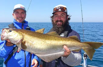 Le lieu jaune est un poisson de Normandie qui se pêche au large