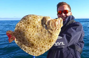 Le turbot est un poisson plat typique de la Normandie