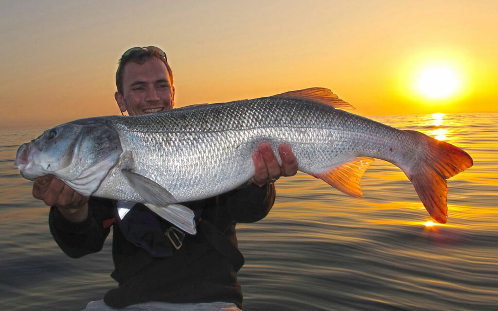 Prise d'un bar de 6,310 kg record du monde sur ligne fine