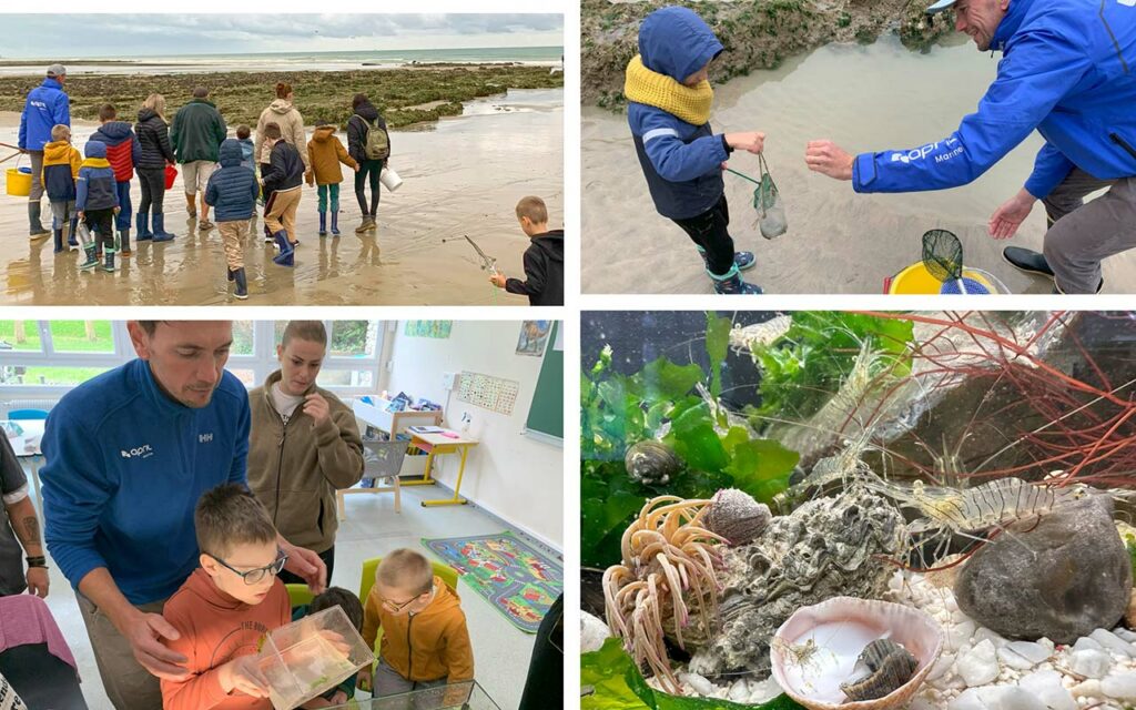 Pêche à pied sur l'estran de la côte d'Albâtre à Dieppe avec des enfants autistes