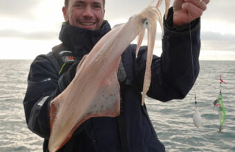 Calamar blanc au large des côtes Normandes