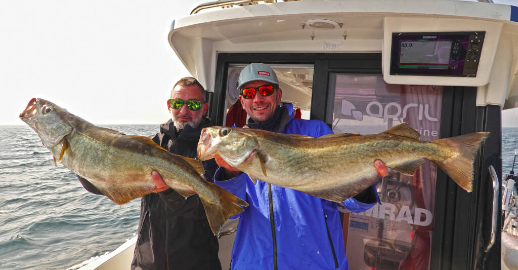 Pêche en Normandie de gros lieus jaunes avec Guillaume Fourrier
