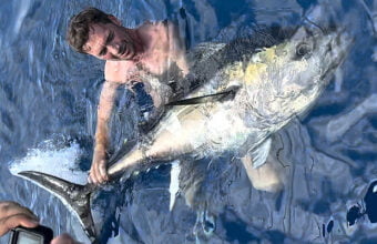 Thon rouge de 95 kg remis à l'eau