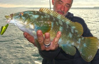Pêche d'une jolie vieille le long de la côte d'Albâtre