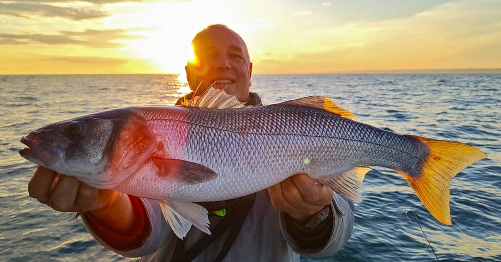 Pêche d'un gros bar à Dieppe