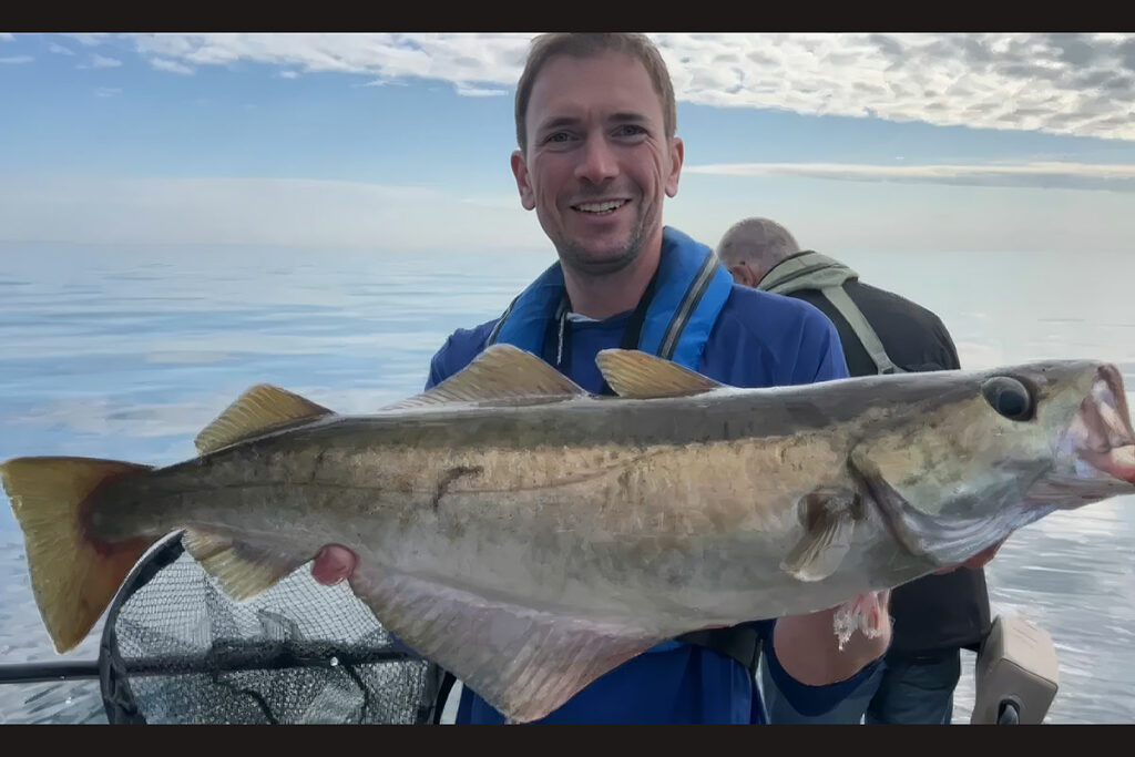 Guide de pêche spécialisé dans le lieu jaune