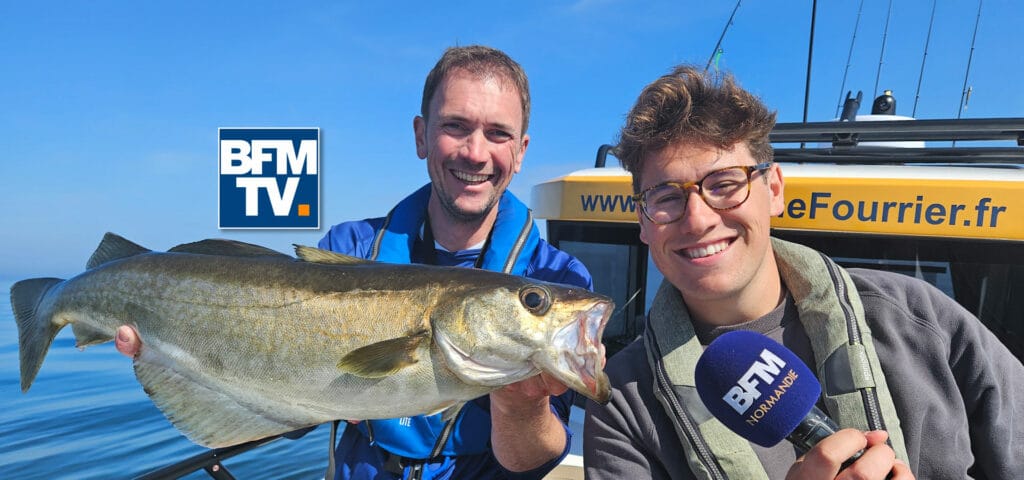 Reportage sur le métier de guide de pêche en mer sur BFM Normandie