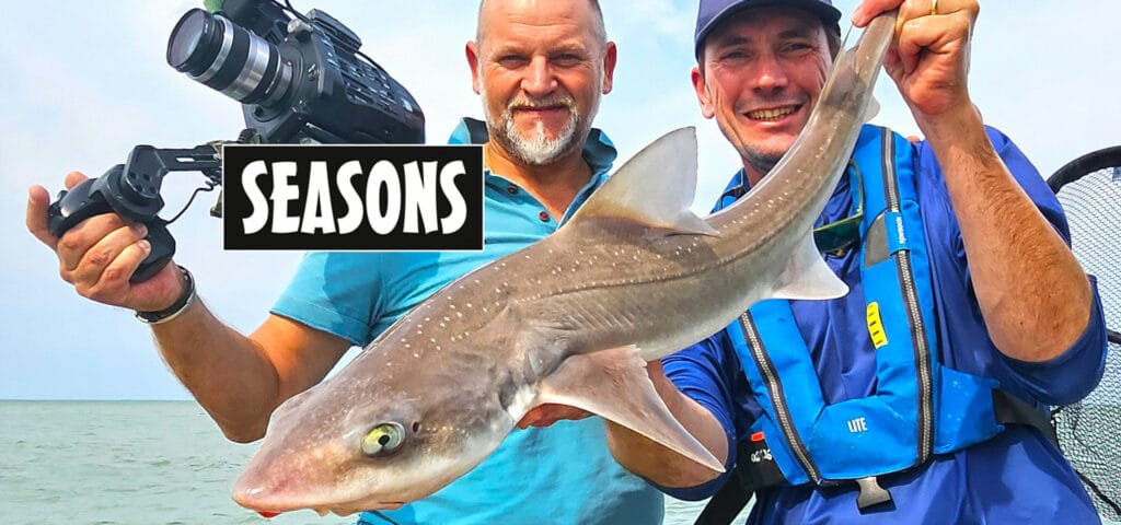 Documentaire portrait de Guillaume Fourrier de 57 minutes sur Seasons, groupe Canal+