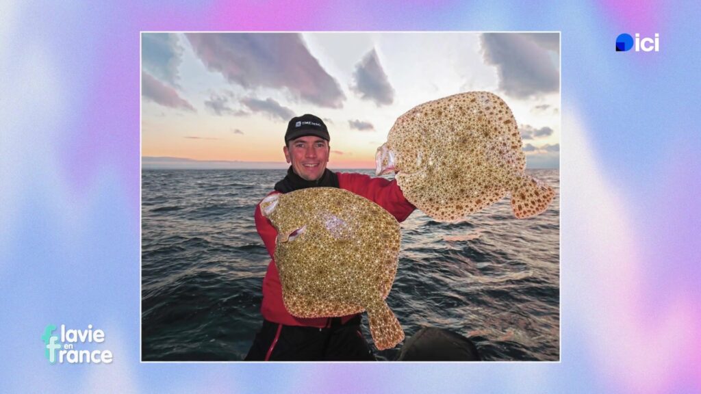 Deux superbes turbots pêchés par le guide de pêche à Dieppe